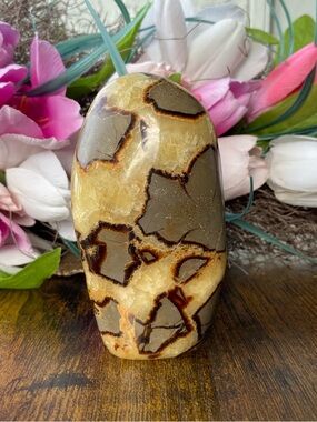 Septarian Freeform